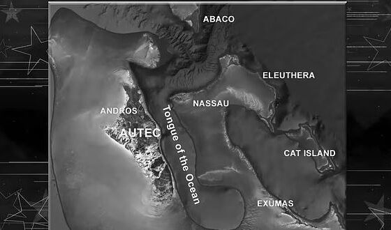 Map showing the islands of the Bahamas including Andros, Nassau, Eleuthera, Abaco, Cat Island, and Exumas, and the Tongue of the Ocean.