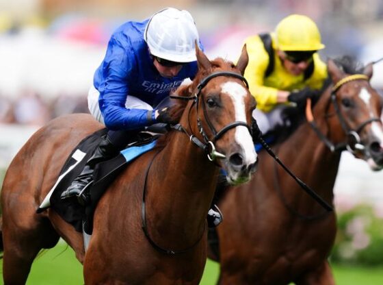 Words Of Truth wins at Ascot