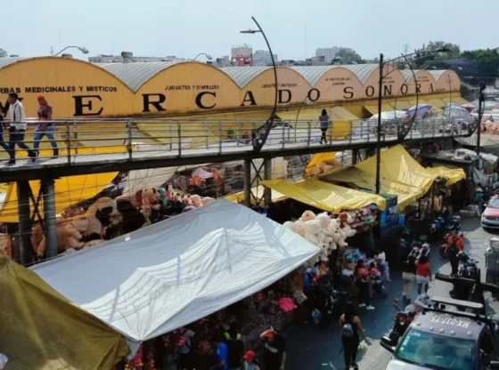 Members of several organizations have held demonstrations and sit-ins to demand the closure of the Sonora Market, in the Venustiano Carranza mayor's office.