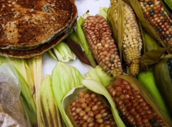 After several days of farmers' protests, Sader announced a 25% increase in the guaranteed prices of corn.