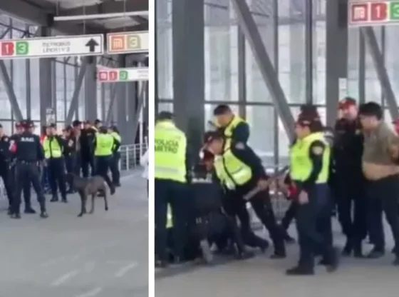 This Wednesday an alleged fight between police and civilians was recorded in the vicinity of the Indios Verdes Metro.