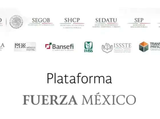 'Fuerza México' Platform