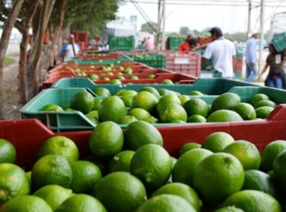 13 million pesos was the investment for the military barracks, inaugurated on February 15 in that area