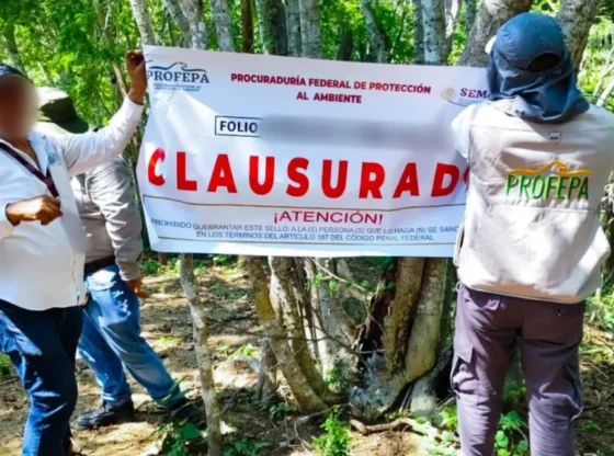 Profepa carried out the closure after detecting works in Huatulco without the corresponding authorizations regarding environmental impact.