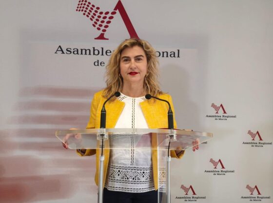 Carmina Fernández, spokesperson for the Socialist Group in the Regional Assembly.