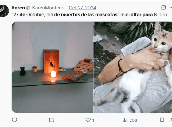 Offerings for deceased pets prior to the Day of the Dead. X / @_KarenMontero_