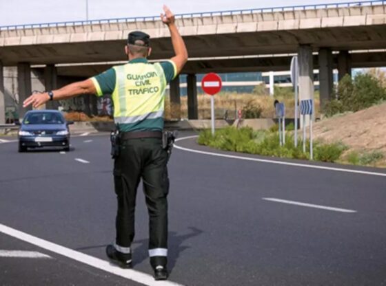 The most common fines issued in summer