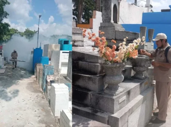 They protect the health of inhabitants with mosquito control in cemeteries in the municipality of Palizada, in the state of Campeche.