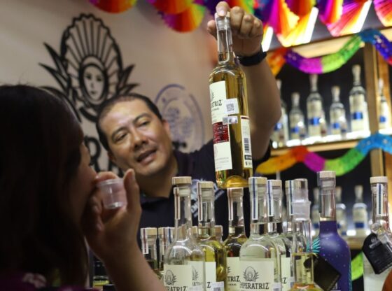 El alcohol es un hábito para muchas personas sin que éstas sean conscientes del daño que puede llegar a ocasionar en su salud y entornos sociales.