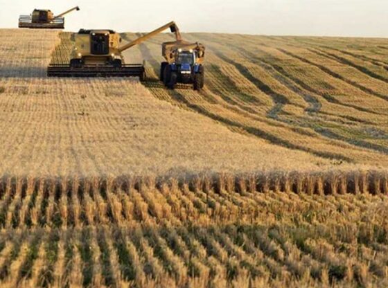 CONAB reported that sowing crops remains positive with at least 56% of the whole area already planted at the start of November