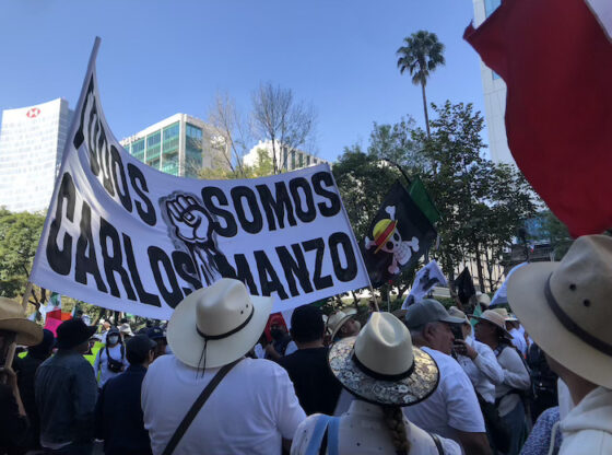 "We are all Carlos Manzo"assured protesters of the so-called Generation Z March on November 15, 2025 in Mexico City.