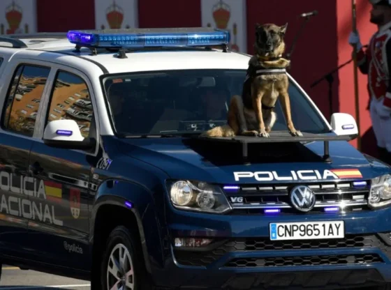 Ecuadorian security agencies report the intervention of organizations linked to the CJNG and the Sinaloa Cartel in territorial disputes