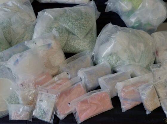 Ontario Police found a spectacular amount of fentanyl, the largest in its history, in a raid in the province of Windsor; two Canadians fell.