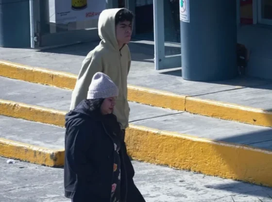 Civil Protection activated the Yellow Alert due to cold in high areas of two municipalities south of CDMX for the first hours of Sunday the 24th.