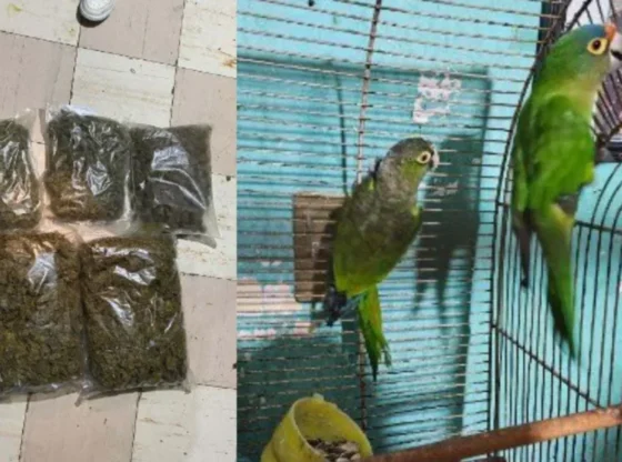 They rescue an 87-year-old woman in a vulnerable situation after a search in the GAM