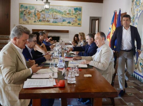 Meeting of the full Council, with Mazón (standing).