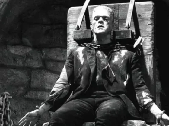 Frankenstein's work goes beyond Guillermo Del Toro's vision