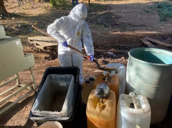 Destruction of drug laboratory in Sinaloa