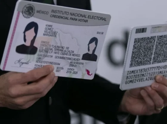 The INE guaranteed the transparency and accountability of the Public Tender for the voting credential.