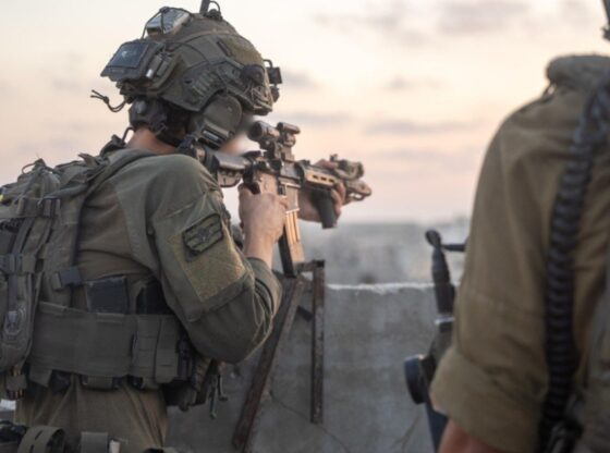 Fuerzas de Defensa de Israel (FDI)