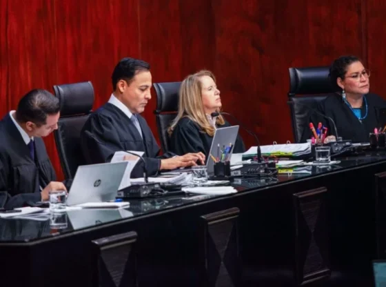 Senators from Morena, PVEM and the Labor Party celebrated the ruling of the SCJN against the Salinas Group, calling it 'historic'.