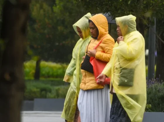 Rains and cold will affect the country, look at the weather for today, Monday, November 3