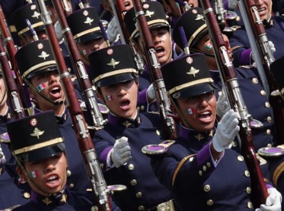 Desfile cívico-militar del 20 noviembre