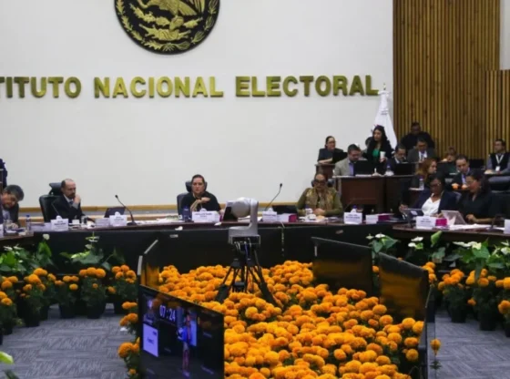 National Electoral Institute (INE)