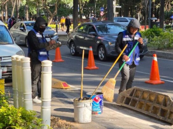 Complaint. The Morena deputy, Cecilia Vadillo, said that complaints are constant in that mayor's office about the poor work of the authorities.