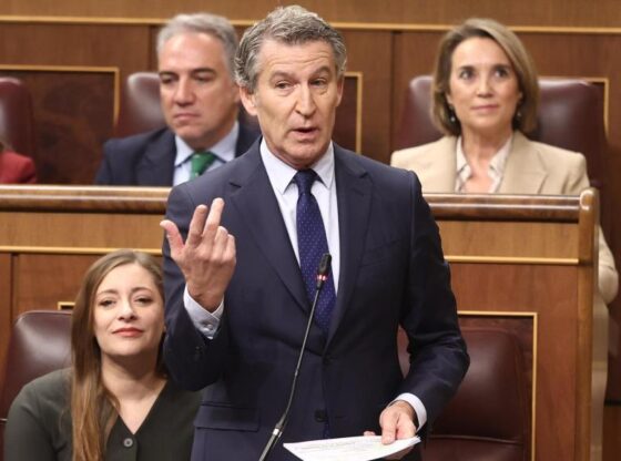 The president of the Popular Party, Alberto Núñez Feijóo, in the control session of Congress.