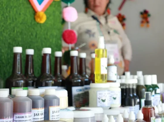 The governor of Hidalgo promoted a space dedicated to traditional medicine within the Seventh National Meeting of Magical Towns.