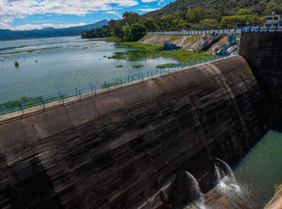Hay depredadores del agua incluso dentro de Morena: Ramírez Cuéllar