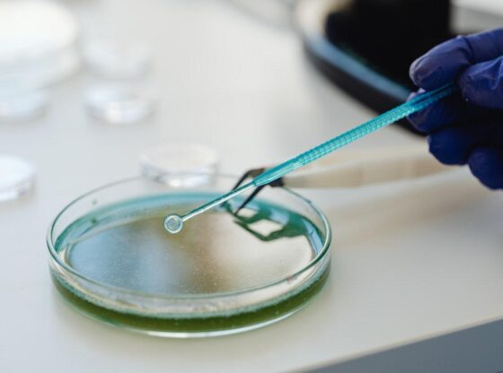 The most dangerous fungi that “threaten” our health and are causing more and more infections