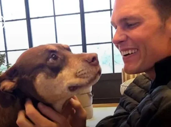 Tom Brady confessed that his dog Junie, current pet, is the clone of Lua, his dog who died in 2023.