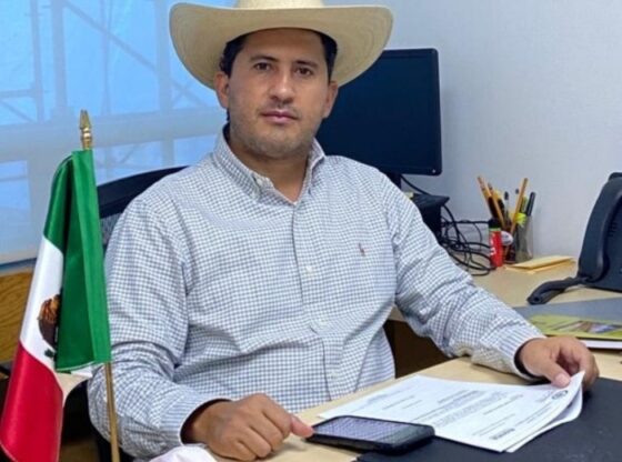 Government under pressure after assassination of Mayor.