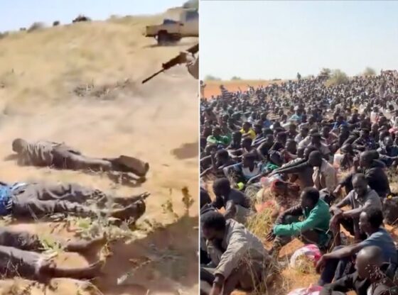 Field executions in El Fasher