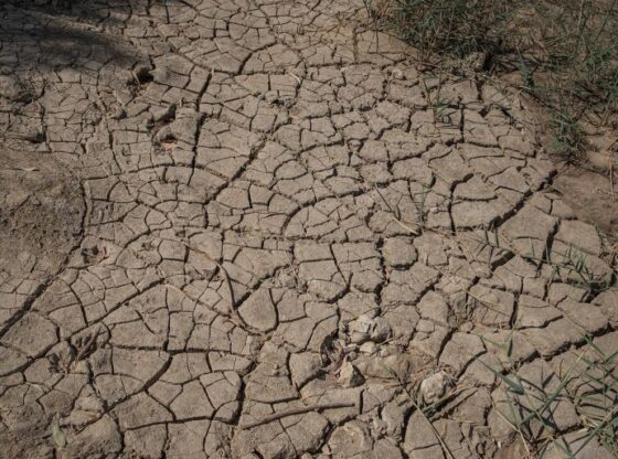 AMMAN, JORDAN - AUGUST 26: A view of Jordan River as its water level decreases due to climate change and ongoing Arab-Israeli conflict in Amman, Jordan on August 26, 2022. Drought affects tourism and historical places such as the Baptism Site year after year. (Photo by Adri Salido/Anadolu Agency via Getty Images)