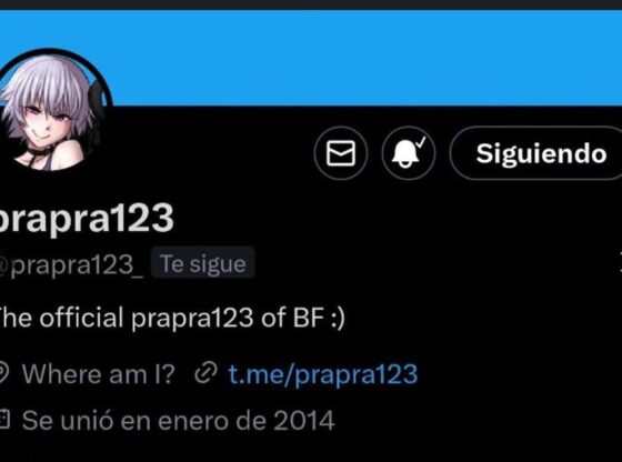 Prapra123 was arrested in 2024 for his alleged responsibility for numerous attacks on Spanish institutions, Interpol and the Mossos. He had a Telegram channel to negotiate sales