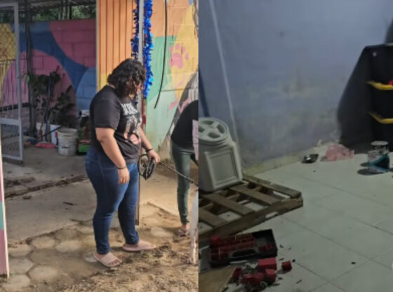 Santana contó que al llegar por la mañana de este viernes encontraron el portón abierto del refugio y se percataron del saqueo. Las imágenes muestran que los criminales apenas dejaron una bolsa de croquetas semivacía.