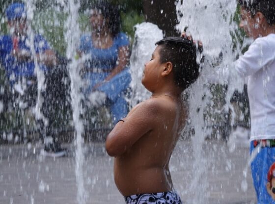 Extreme heat can affect children's learning in subjects such as literacy and numeracy.