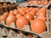 Veg Farms recalls eggs in Sacramento and Davis.