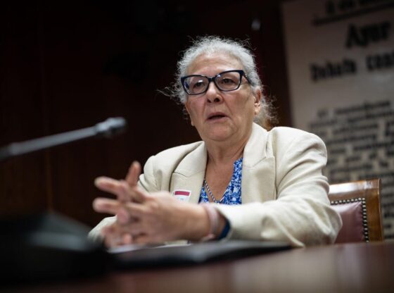 The businesswoman María del Carmen Pano Sánchez appears in the commission on the 'Koldo case', in the Senate, on October 15, 2025, in Madrid (Spain). María del Carmen Pano Sánchez testifies before the Investigation Commission on contracts, licenses, concessions, aid and other operations of the Government and the public sector, related to the intermediation of Koldo García Izaguirre and the other people linked to the plot investigated in Operation Delorme. Carmen Pano claimed to have delivered “two bags of money in exchange for political favors” on behalf of Víctor de Aldama. His statements prompted the Popular Party to file a complaint in the National Court against the PSOE for alleged illegal financing, bribery and influence peddling. OCTOBER 15, 2025 Alejandro Martínez Vélez / Europa Press 10/15/2025. CARMEN PANO;Alejandro Martínez Vélez;
