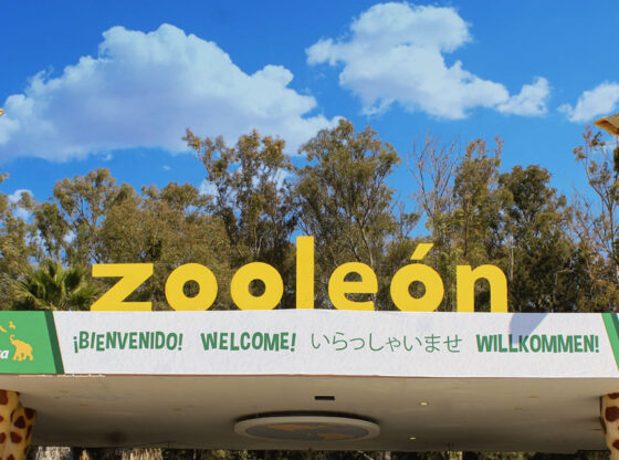 Cierran Zooleón