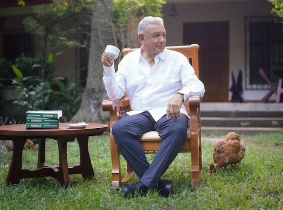 AMLO asked 4T supporters to continue supporting President Claudia Sheinbaum Pardo and warned that "It's still vulture season".