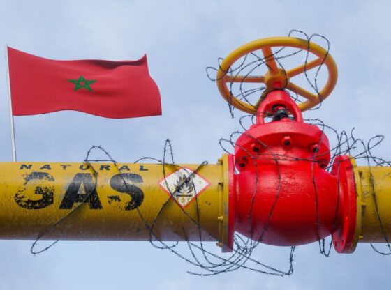 Pipe of gas Morocco, Valve on the main gas pipeline Morocco, Sanctions on Morocco, the pipeline is wrapped with barbed wire, 3D work and 3D image; Shutterstock ID 2219741589; purchase_order: aj; job: ; client: ; other: