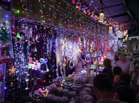 La SSC-CdMx emitió recomendaciones para que la ciudadanía tome las medidas precautorias pertinentes y reduzca los riesgos de verse afectados en su patrimonio.