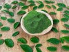 Moringa was imported from India.