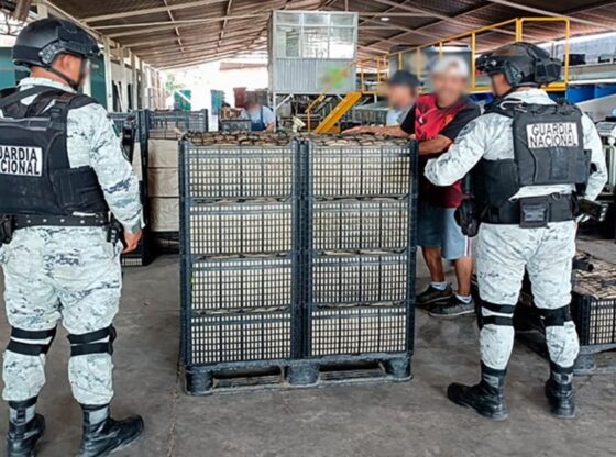 El Gabinete de Seguridad detuvo a 10 personas en Michoacán.