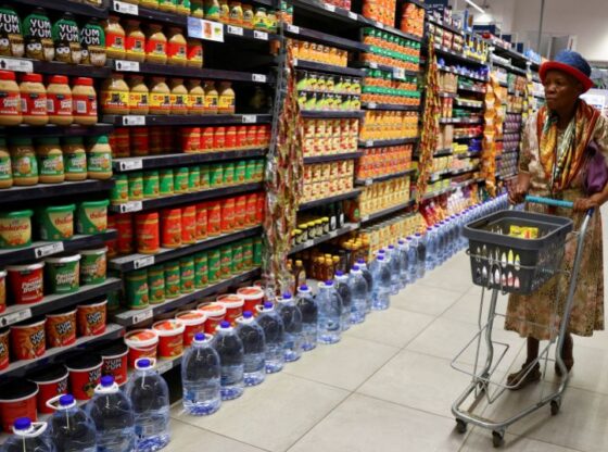 FILE PHOTO: A woman uses a trolley as she shops at a Pick n Pay store at the Dobson Point Shopping Centre, in Soweto, South Africa, March 19, 2024. REUTERS/Siphiwe Sibeko/File Photo