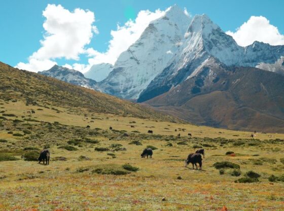 Mountains and landscapes that catch the eye